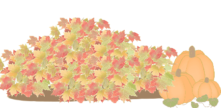 leaves